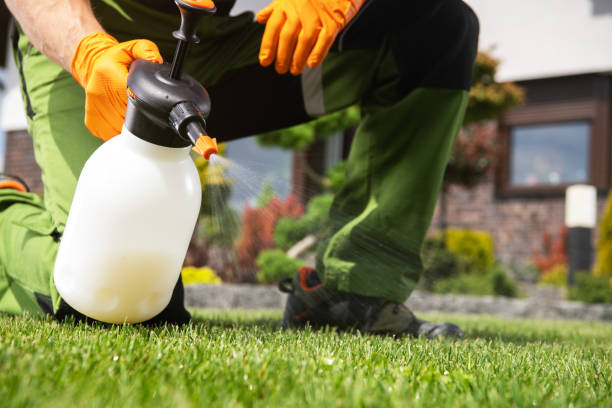 Best Affordable Pest Control Services  in Mlstadt, IL