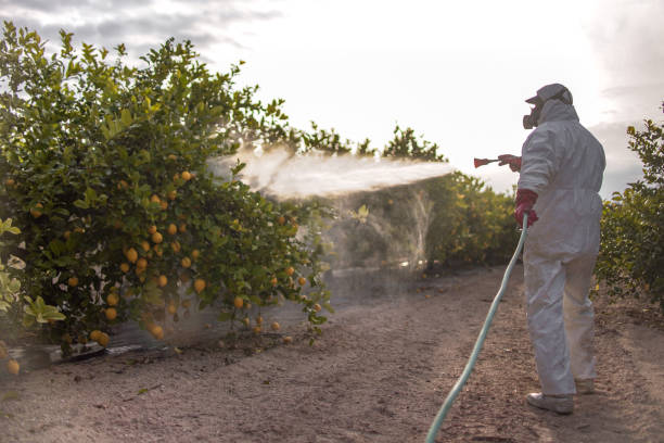 Best Flea Control Services  in Mlstadt, IL
