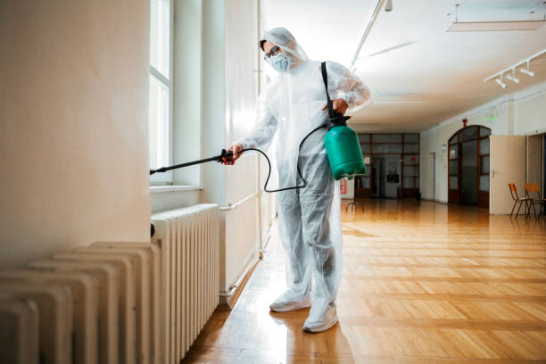 Best Exterminator Services  in Mlstadt, IL